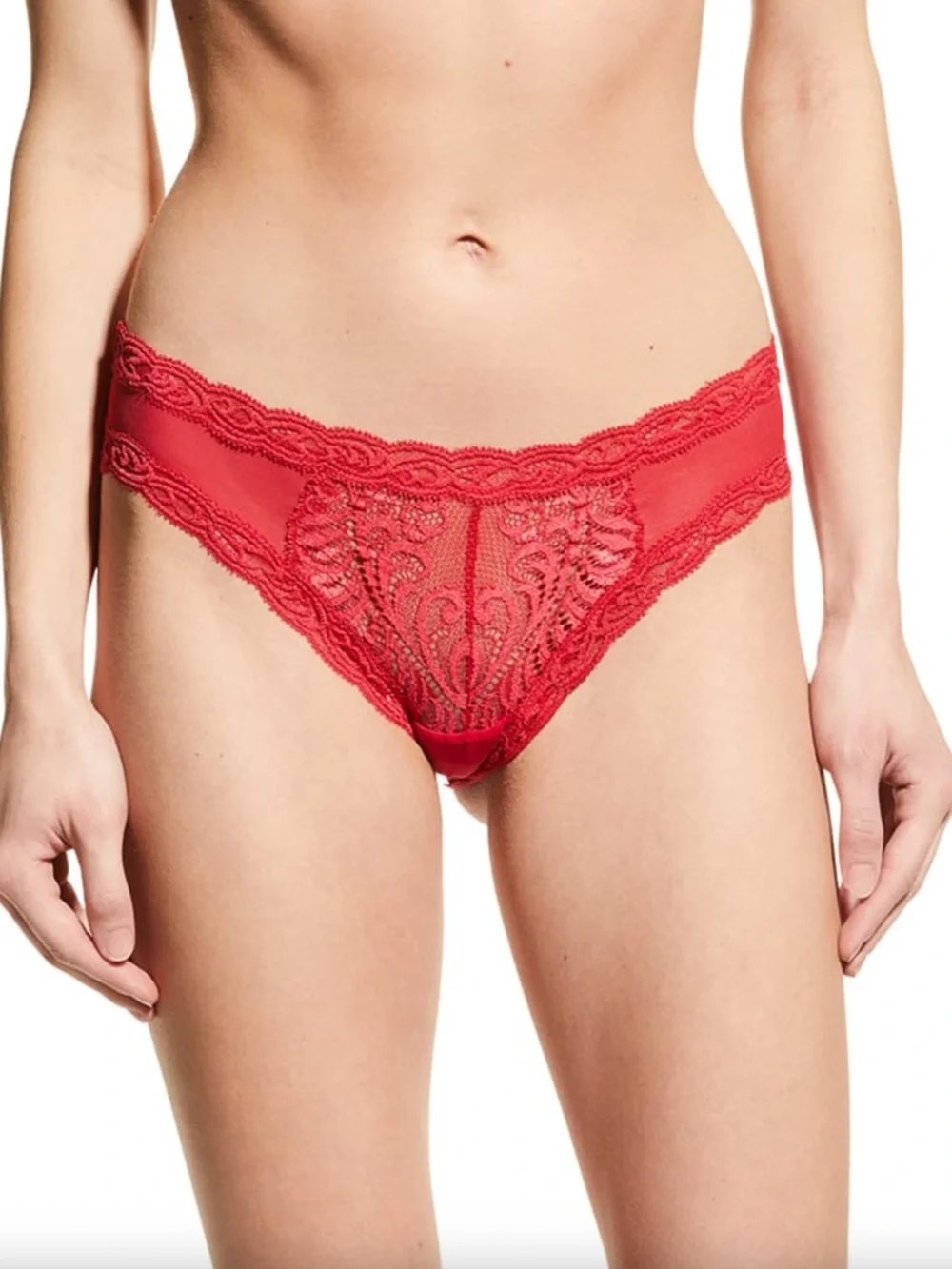 Natori NWOT Feathers Hipster Brief in Bonfire - S